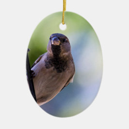 Kannst du spulen keramik ornament