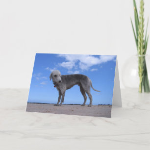 Kanon ixus 057 karte