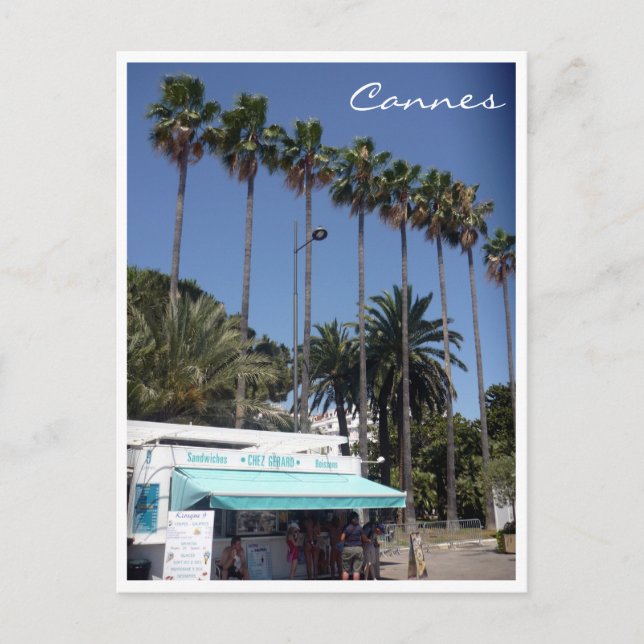 Kanonenpalme Postkarte (Vorderseite)