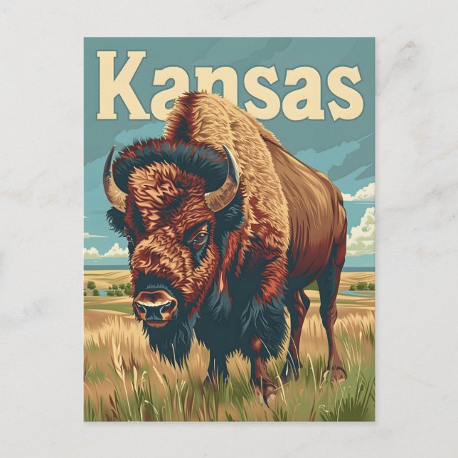 Kansas American Bison Postkarte (Vorderseite)
