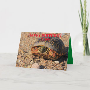 Kansas Box Muschel Turtle Geburtstagskarte Karte