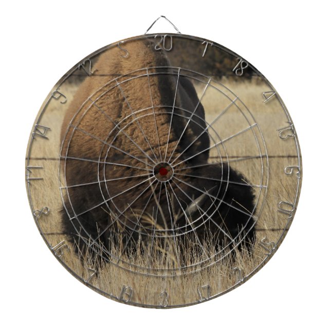 Kansas Buffalo in einer Weide DART BOARD Dartscheibe (vorne)