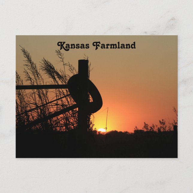 Kansas Country Farmland Sunset Postkarte (Vorderseite)