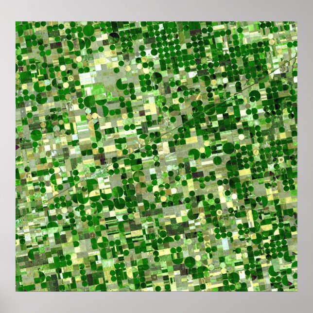 Kansas Crop Circles - Sat View Poster (Vorne)