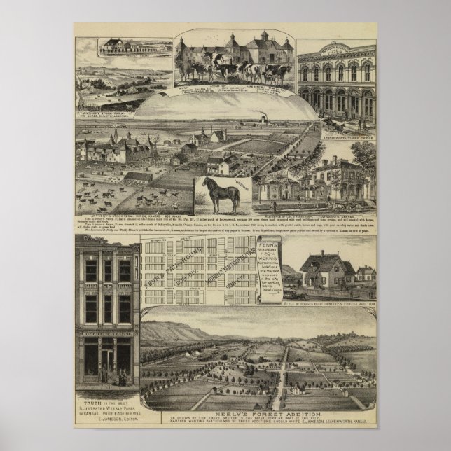 Kansas Farms Poster (Vorne)