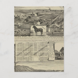 Kansas Farms Postkarte