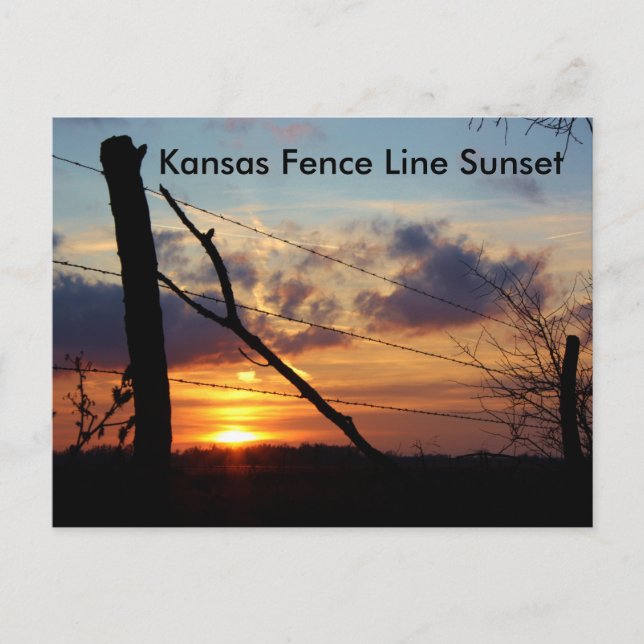 Kansas Fence Line Sunset Post Card Postkarte (Vorderseite)