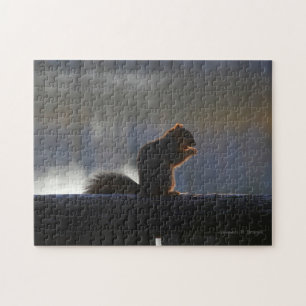 Kansas Fuchs-Schwanzhörnchen Puzzle