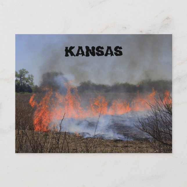Kansas Grass Burning for New Pflanze Life Post Car Postkarte (Vorderseite)