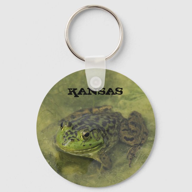 Kansas Green Bull Frog Schlüsselkette Schlüsselanhänger (Vorderseite)