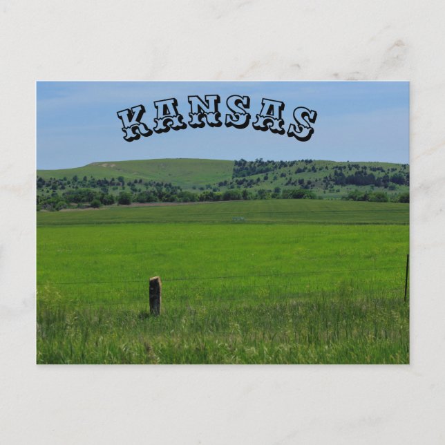 Kansas Green Meadow POST CARD Postkarte (Vorderseite)