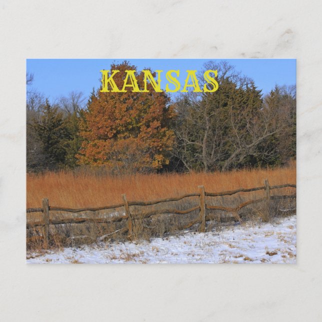 Kansas Herbst/Winter Landschaftskarte. Postkarte (Vorderseite)