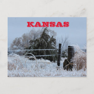 Kansas Icy Fence Post Card Postkarte
