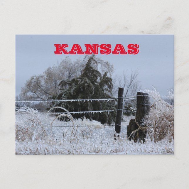 Kansas Icy Fence Post Card Postkarte (Vorderseite)