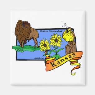 Kansas Karte 2 Magnet