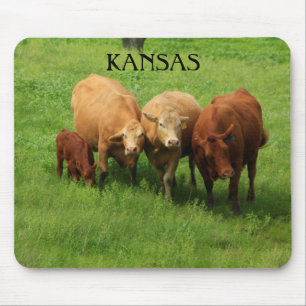 Kansas Kuh ist in einer grünen Weide Maus Pad Mousepad