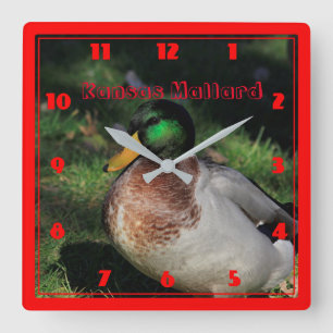 Kansas Mallard Square Wall Clock Quadratische Wanduhr