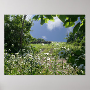 Kansas Meadows und Wildblumen Poster