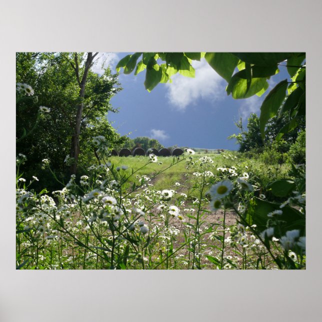 Kansas Meadows und Wildblumen Poster (Vorne)