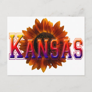Kansas mit Sonnenblumen Postkarte