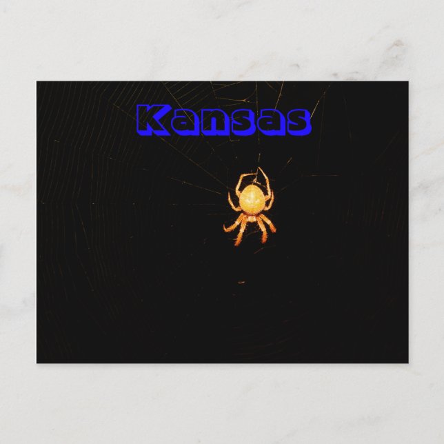 Kansas Orb Weaver Spider Post Card Postkarte (Vorderseite)