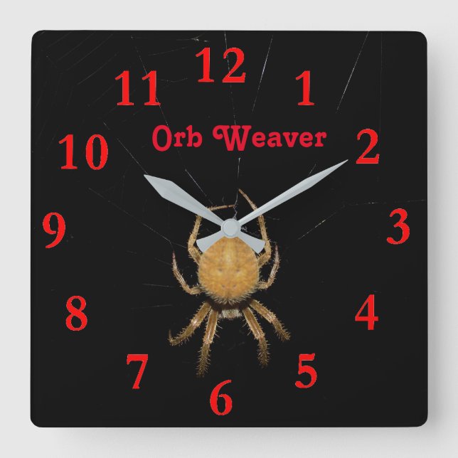 Kansas Orb Weaver Square Clock Quadratische Wanduhr (Vorderseite)