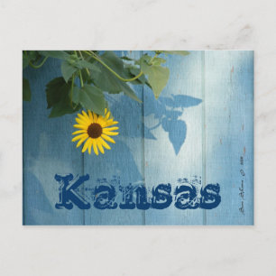 Kansas Postcard: Sonnenblume Postkarte