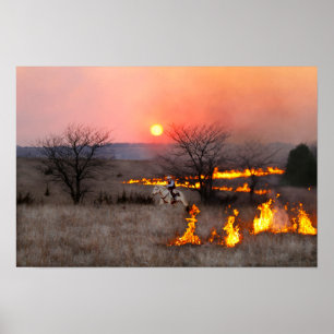 Kansas-Rancher überprüft Feuerlinie Poster