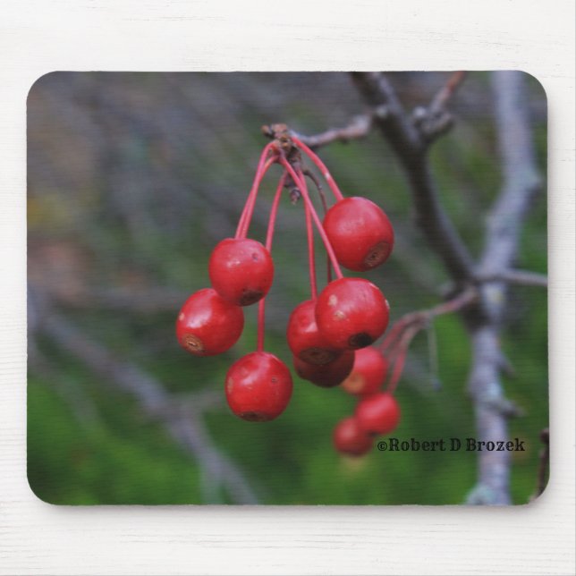 Kansas Red Berries erschossen Nahaufnahme Mouse Pa Mousepad (Vorne)