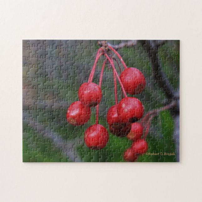 Kansas Red Berries schließen Puzzle (Horizontal)
