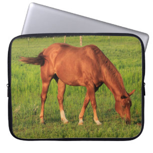 Kansas Rotes Pferd mit grüner Weide LapTop-Sieb. Laptopschutzhülle