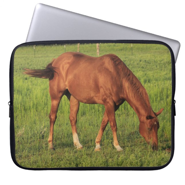 Kansas Rotes Pferd mit grüner Weide LapTop-Sieb. Laptopschutzhülle (Vorderseite)