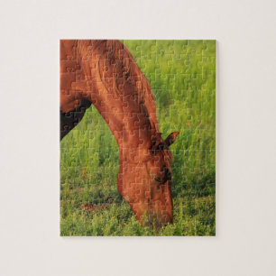 Kansas Rotes Pferd Puzzle