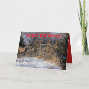 Kansas Snowy Wooden Fence Grußkarte Karte