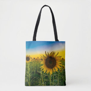 Kansas-Sonnenblume-Feld