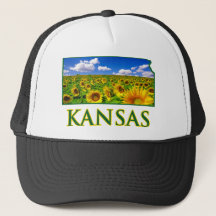 Kansas Sonnenblume Himmel