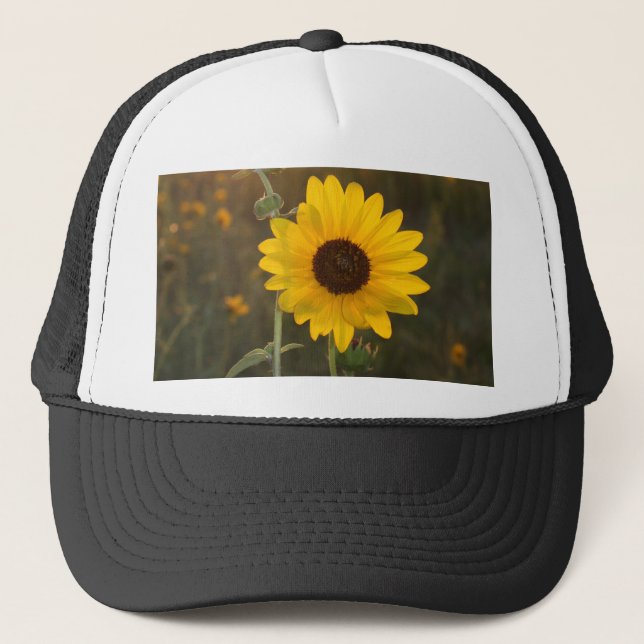 Kansas-Sonnenblume Truckerkappe (Vorderseite)