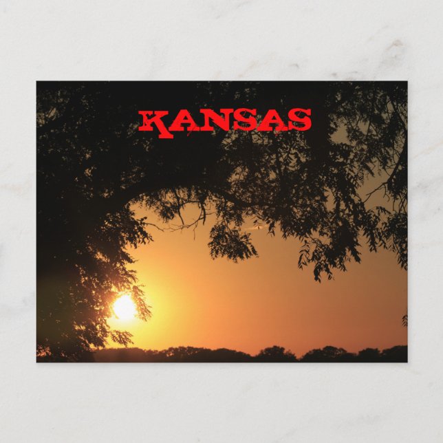 Kansas Sonnenuntergang mit Baumpost-Silhouette-Kar Postkarte (Vorderseite)
