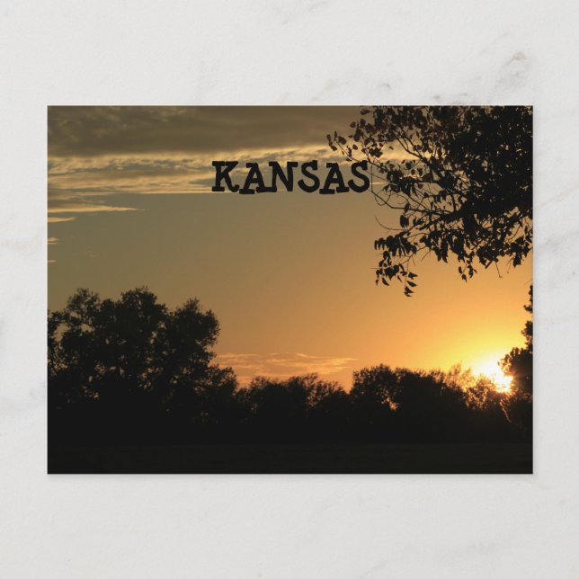 Kansas Sonnenuntergang mit Baumpost-Silhouette-Kar Postkarte (Vorderseite)