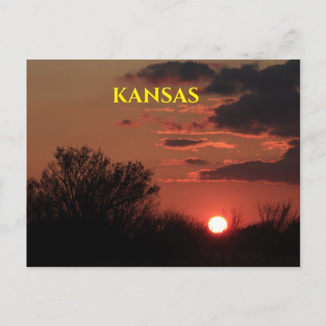 Kansas Sonnenuntergang mit Baumpost-Silhouette-Kar Postkarte (Vorderseite)