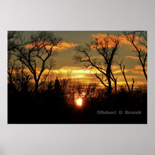 Kansas Sonnenuntergang mit Baumwoll-Silhouette, Wo Poster