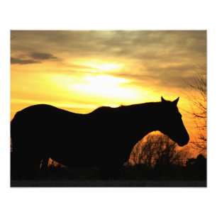 Kansas Sonnenuntergang Silhouette Reiten in einer Fotodruck