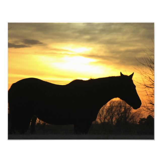 Kansas Sonnenuntergang Silhouette Reiten in einer  Fotodruck (Vorne)