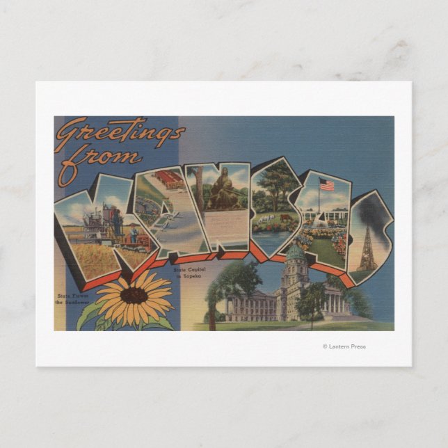 Kansas (Staat Hauptstadt/Blume) Postkarte (Vorderseite)