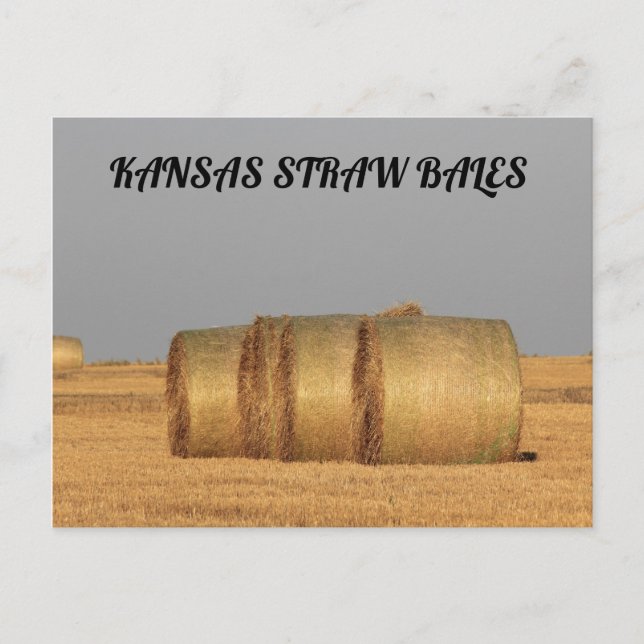 Kansas Straw Bales POST CARD Postkarte (Vorderseite)