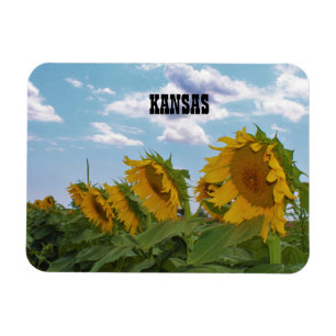 Kansas Sunblumen Magnet