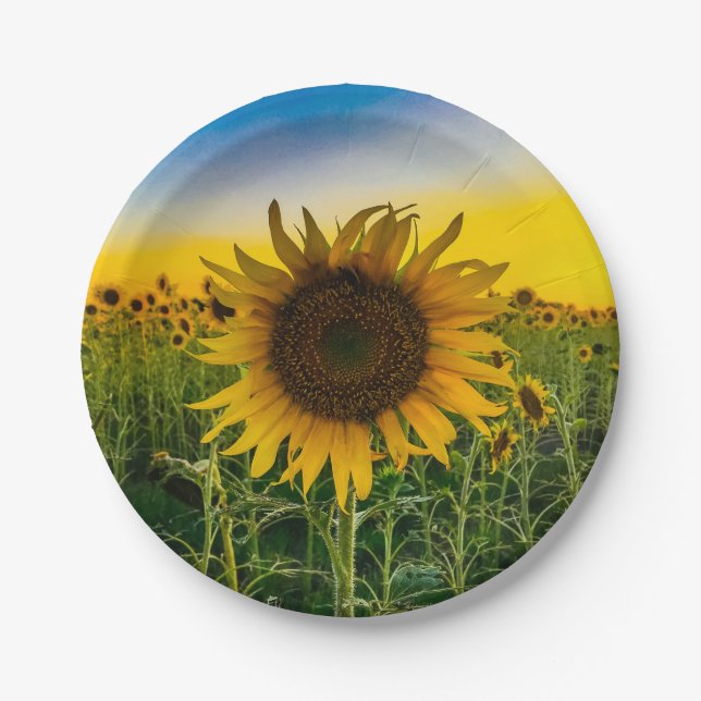 Kansas Sunflower Field Pappteller (Vorderseite)