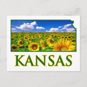 Kansas Sunflower Sky Postkarte