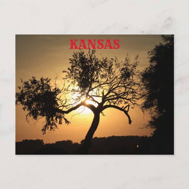 Kansas Sunset mit Baumpost-Karte Postkarte (Vorderseite)