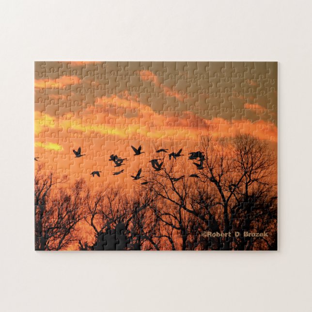 Kansas Sunset mit kanadischem Gänse Jigsaw Puzzle (Horizontal)